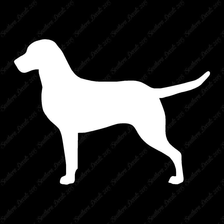 Chesapeake Bay Retriever Dog Breed