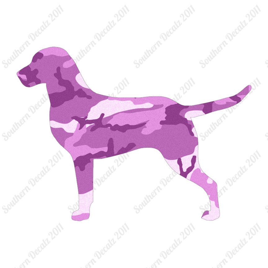 Chesapeake Bay Retriever Dog Breed