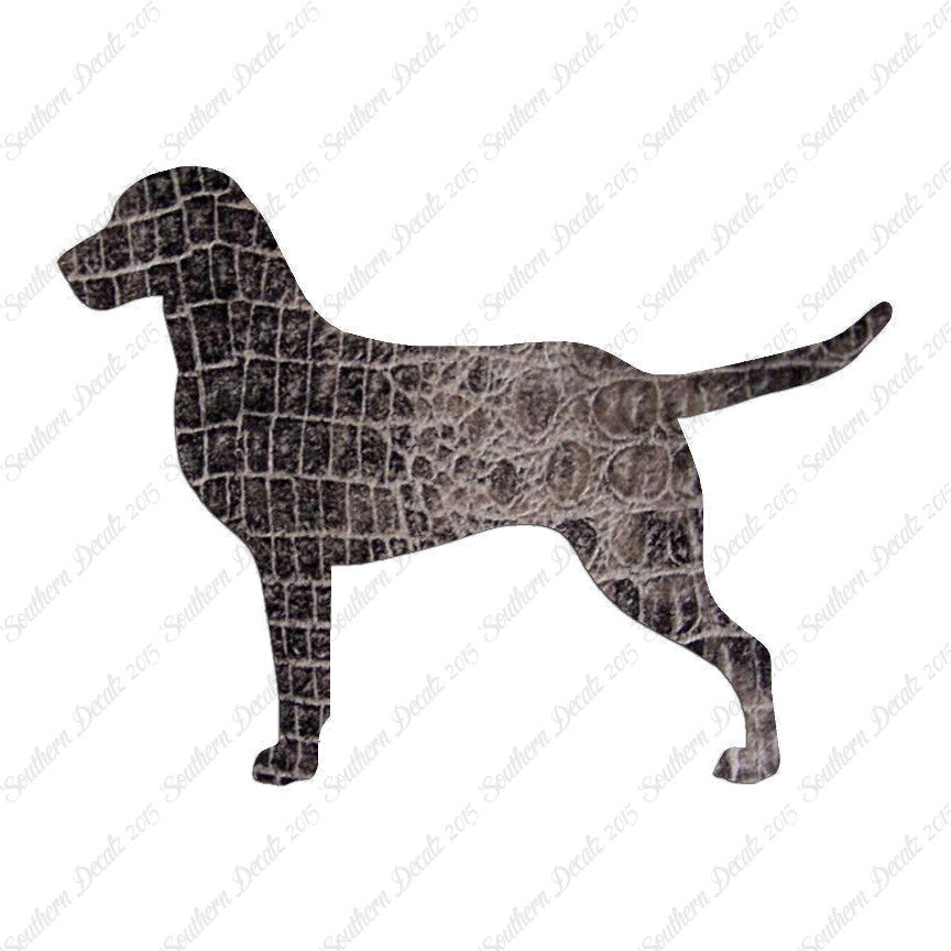 Chesapeake Bay Retriever Dog Breed