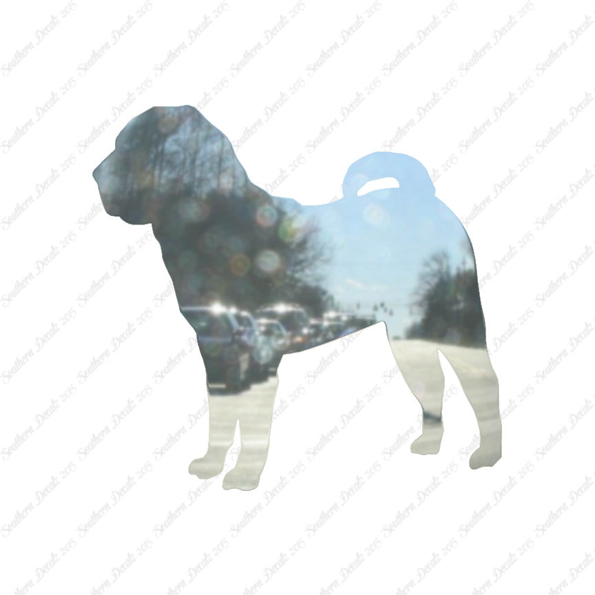 Chinese Shar Pei Dog Breed