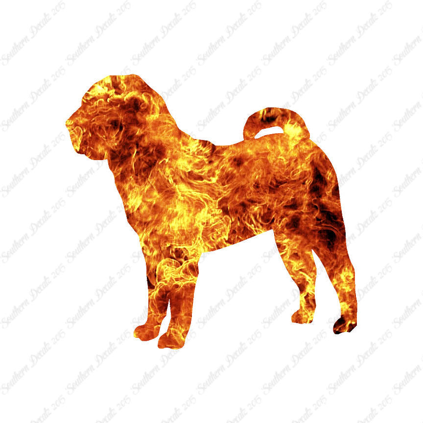Chinese Shar Pei Dog Breed