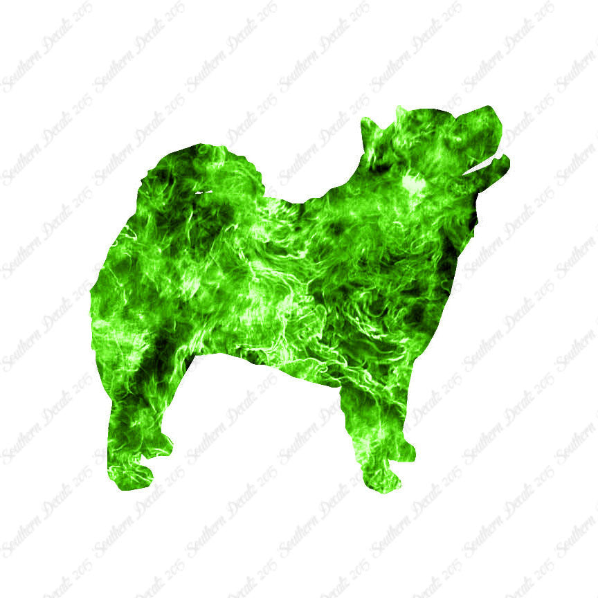 Chow Chow Dog Breed