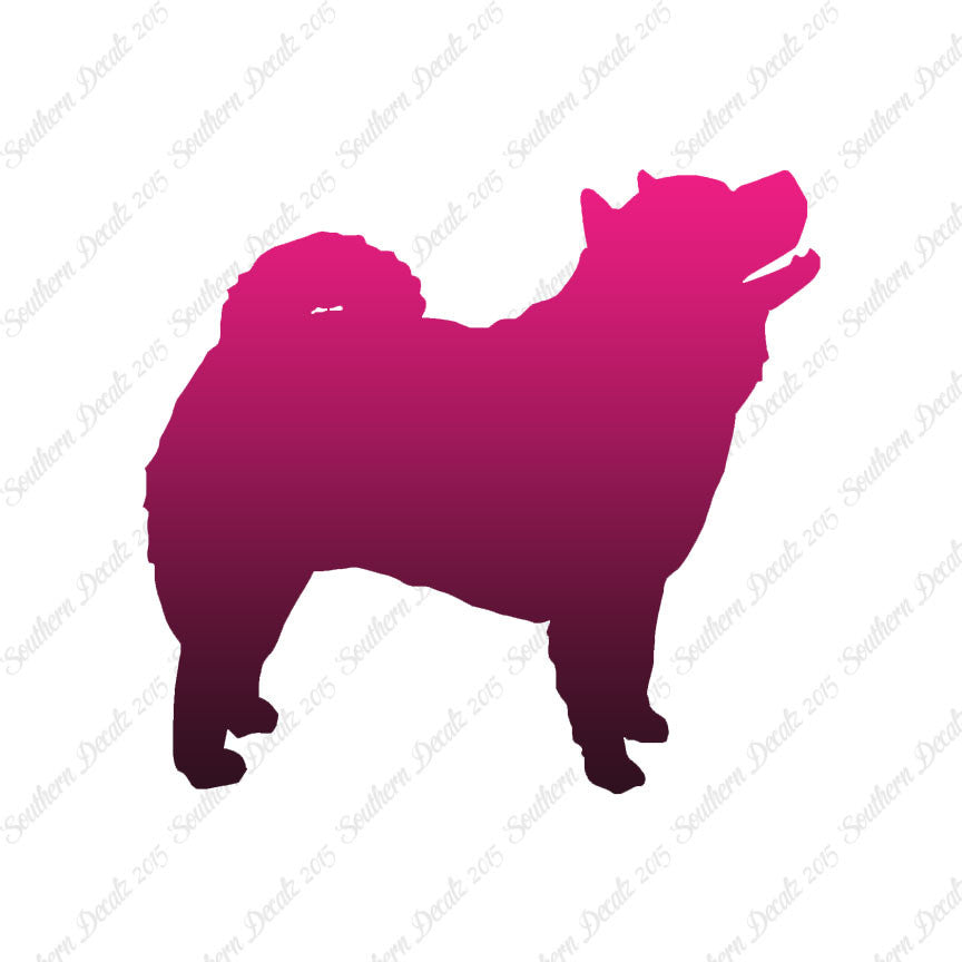 Chow Chow Dog Breed