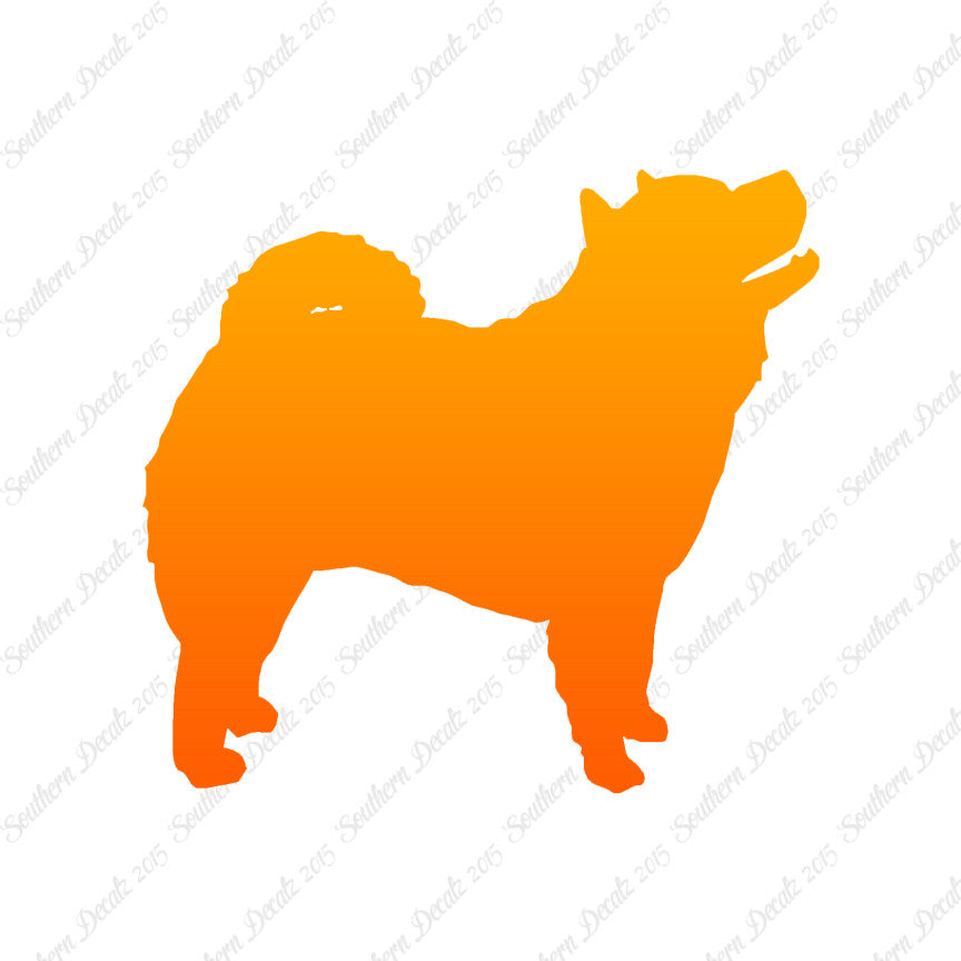 Chow Chow Dog Breed