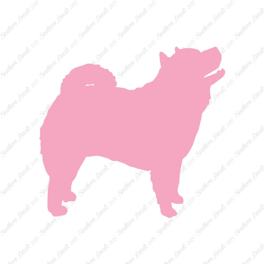 Chow Chow Dog Breed