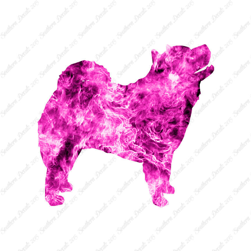 Chow Chow Dog Breed