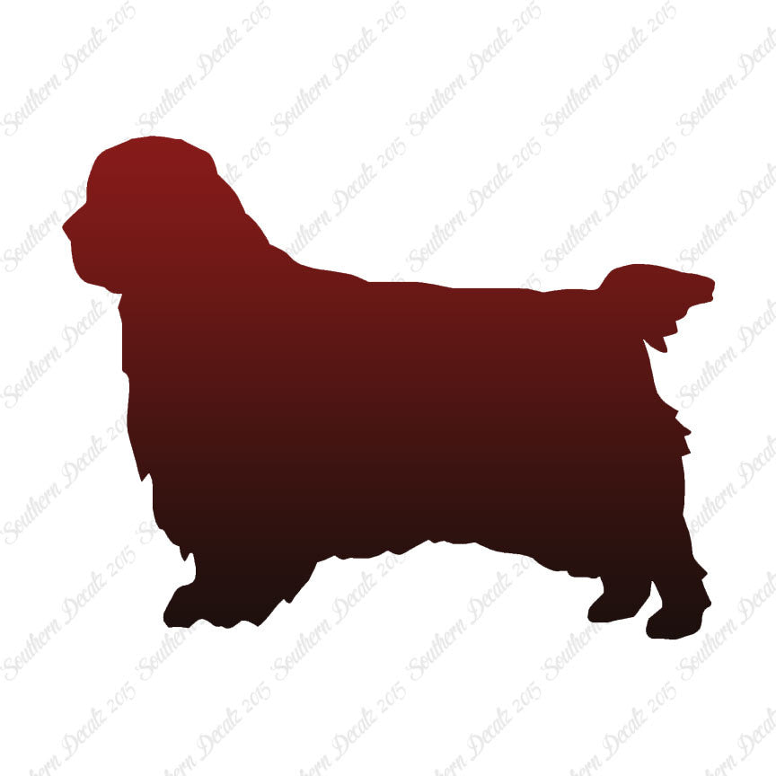 Clumber Spaniel Dog Breed