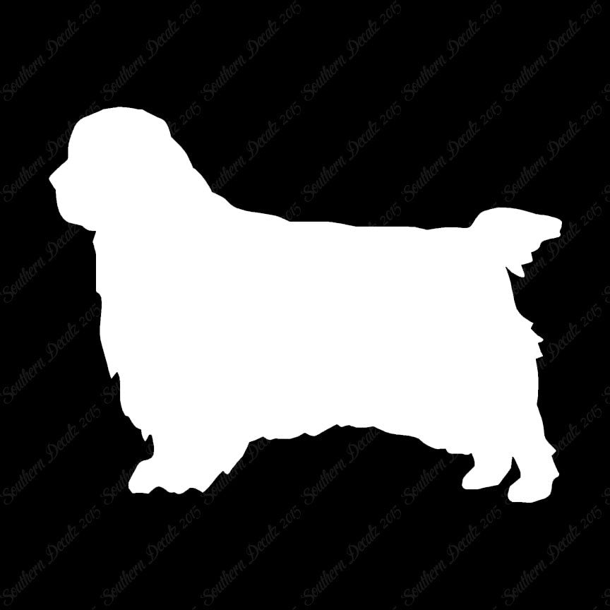 Clumber Spaniel Dog Breed