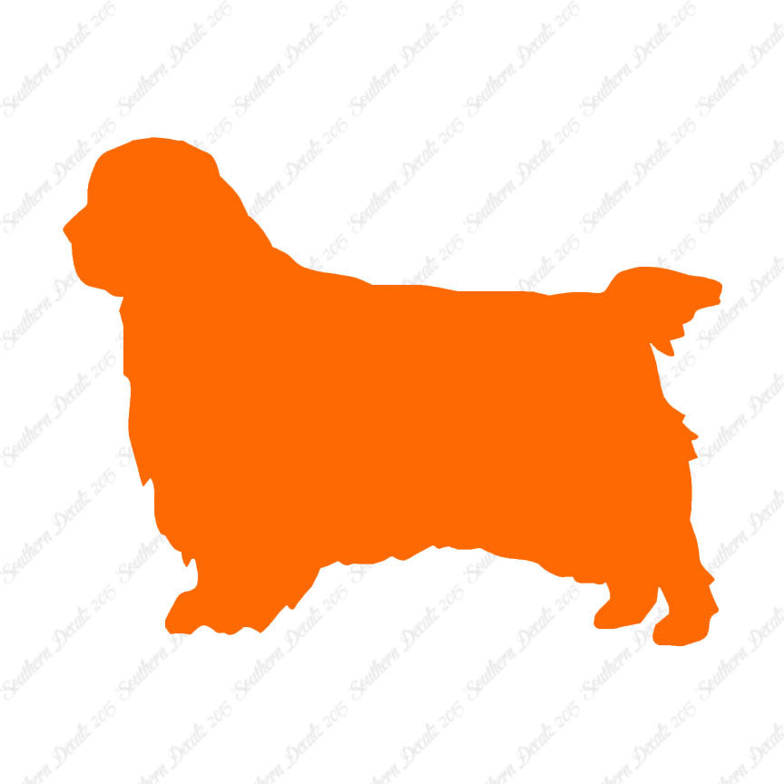 Clumber Spaniel Dog Breed