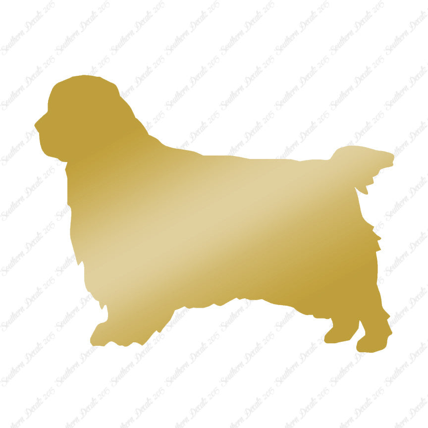 Clumber Spaniel Dog Breed
