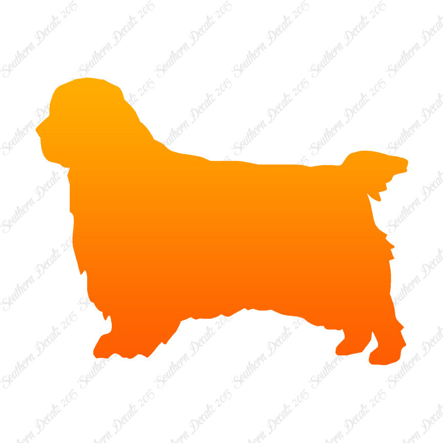 Clumber Spaniel Dog Breed