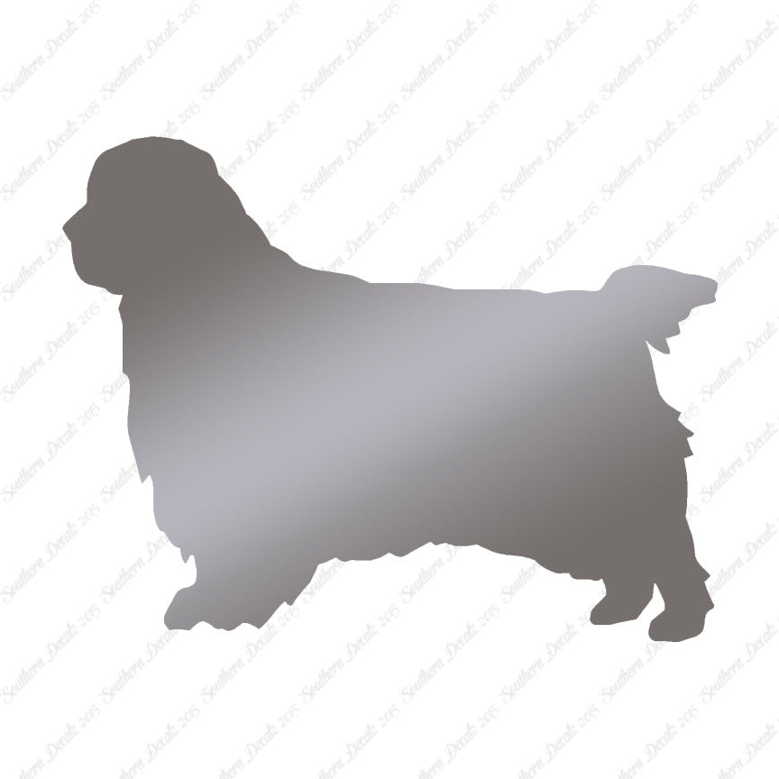 Clumber Spaniel Dog Breed