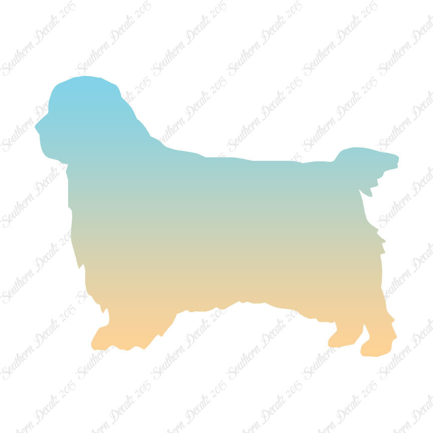 Clumber Spaniel Dog Breed
