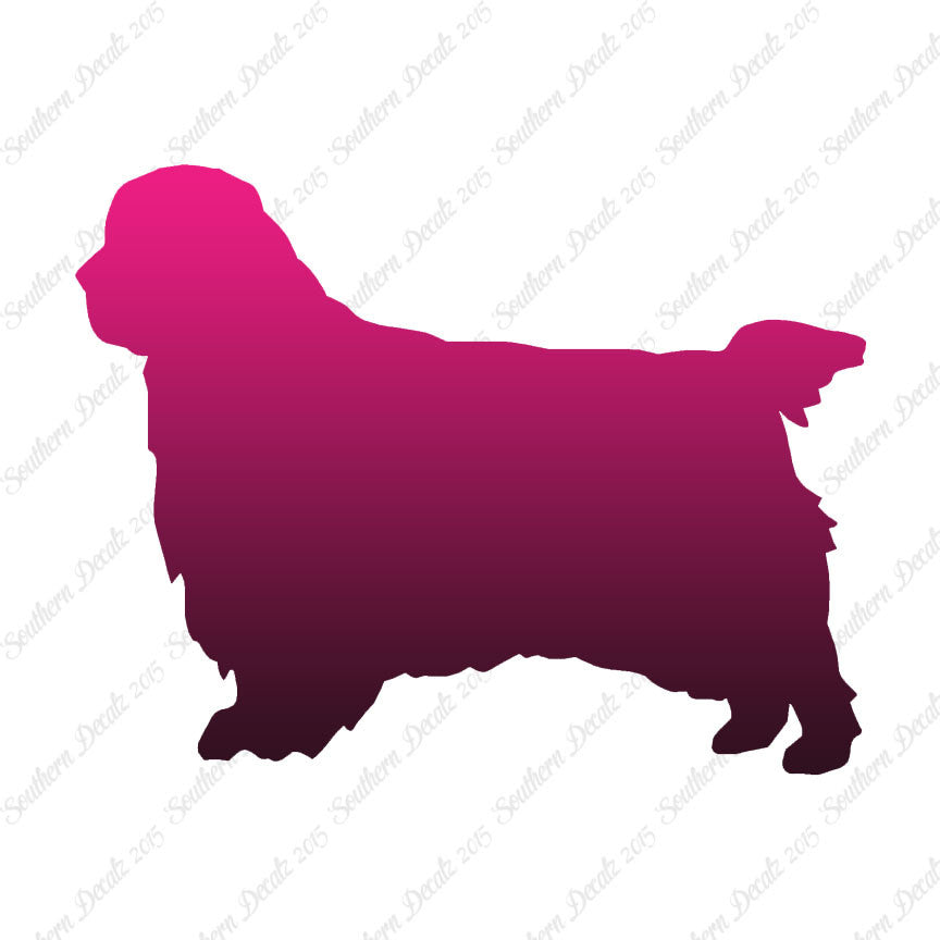 Clumber Spaniel Dog Breed