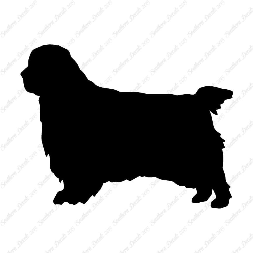 Clumber Spaniel Dog Breed