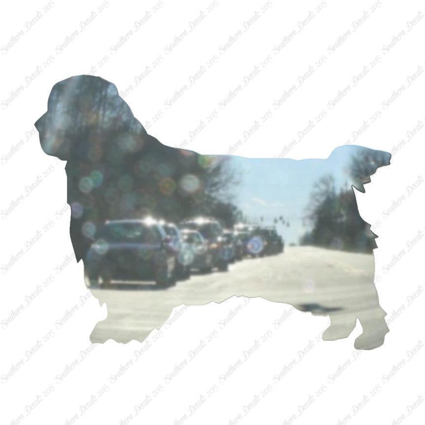 Clumber Spaniel Dog Breed