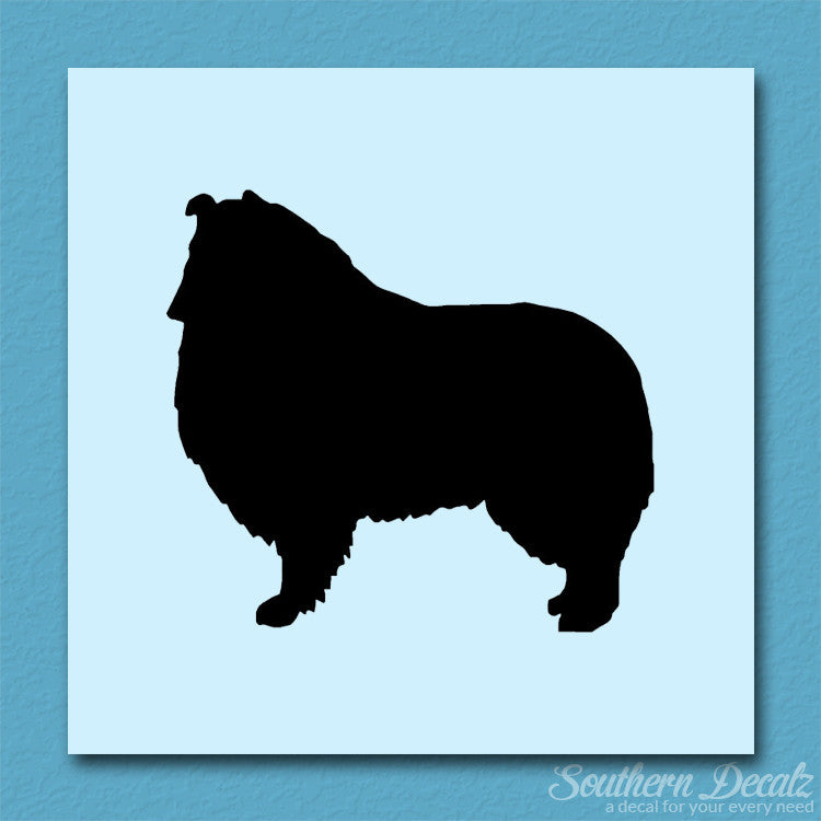 Shetland Sheepdog Collie Dog Breed
