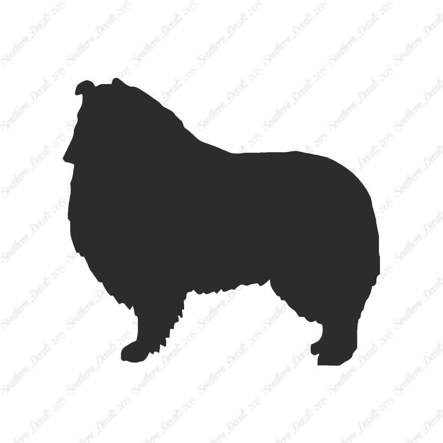 Shetland Sheepdog Collie Dog Breed