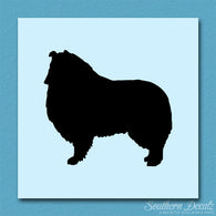 Shetland Sheepdog Collie Dog Breed
