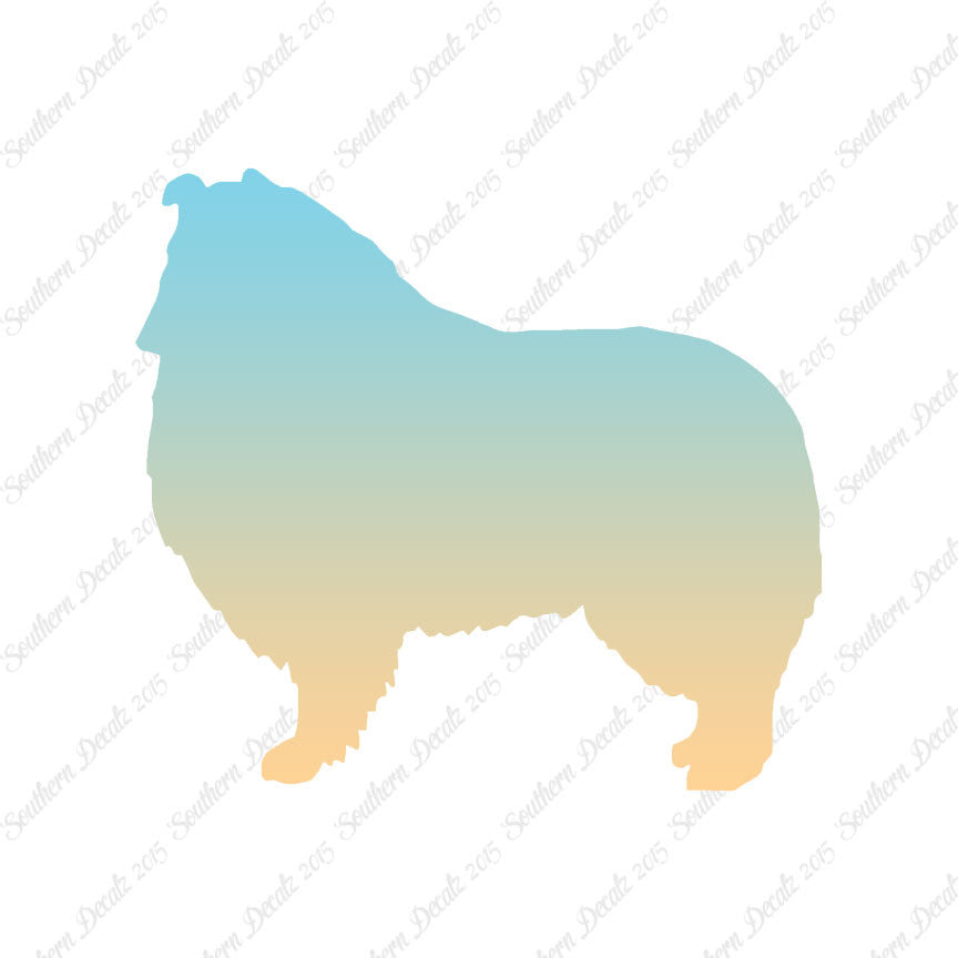 Shetland Sheepdog Collie Dog Breed