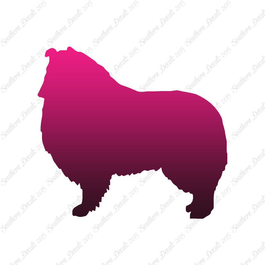 Shetland Sheepdog Collie Dog Breed