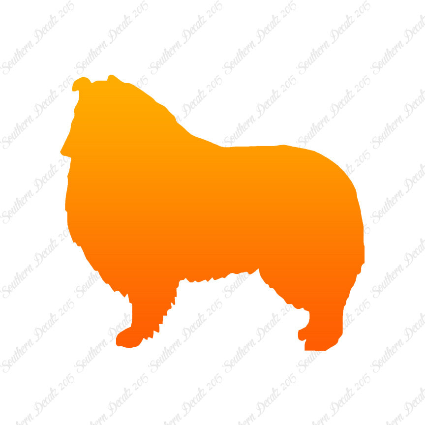 Shetland Sheepdog Collie Dog Breed