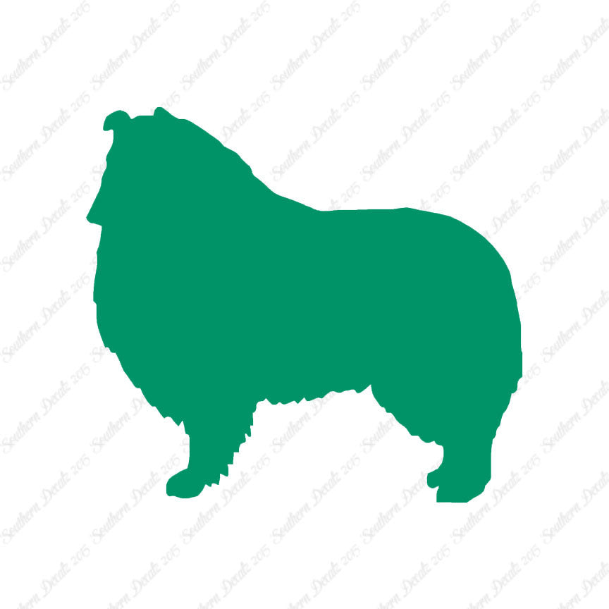Shetland Sheepdog Collie Dog Breed