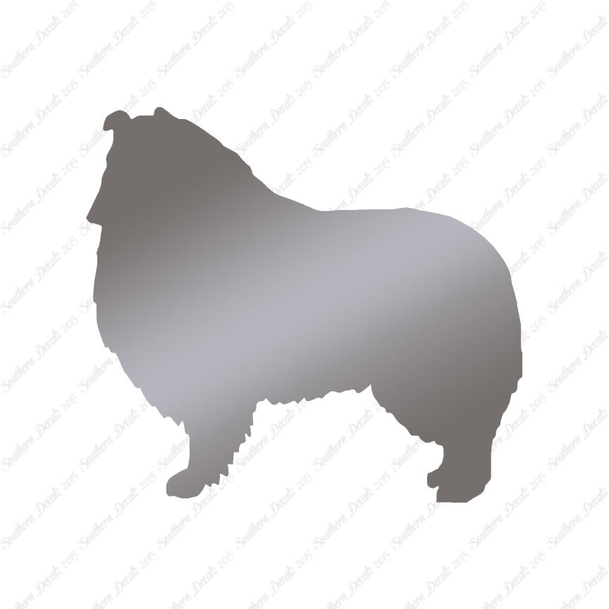 Shetland Sheepdog Collie Dog Breed