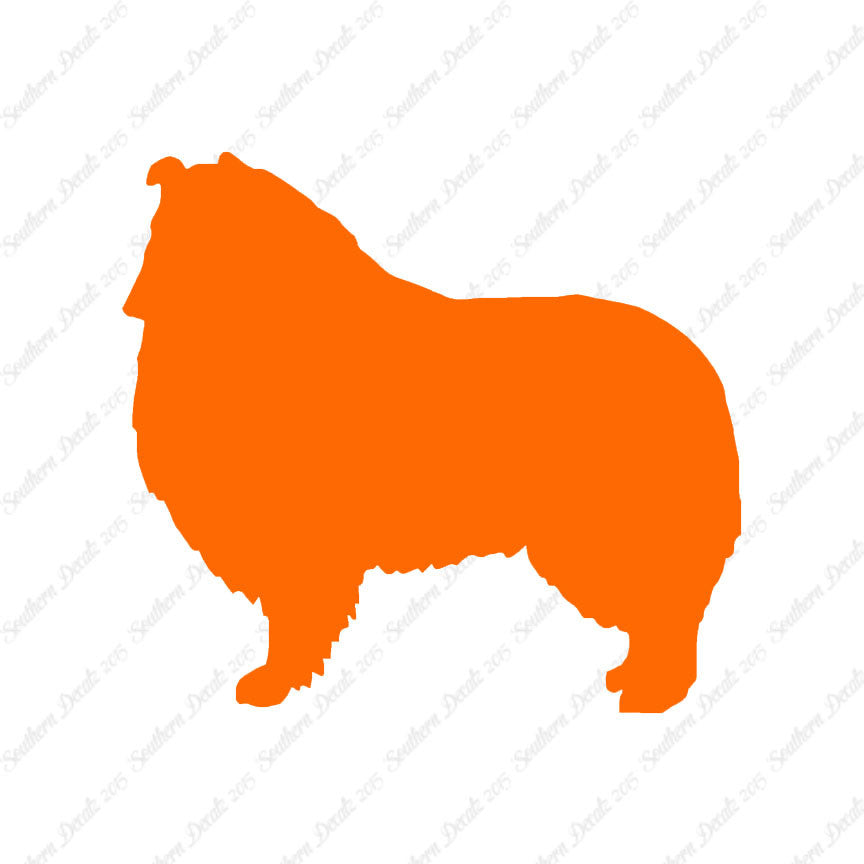 Shetland Sheepdog Collie Dog Breed