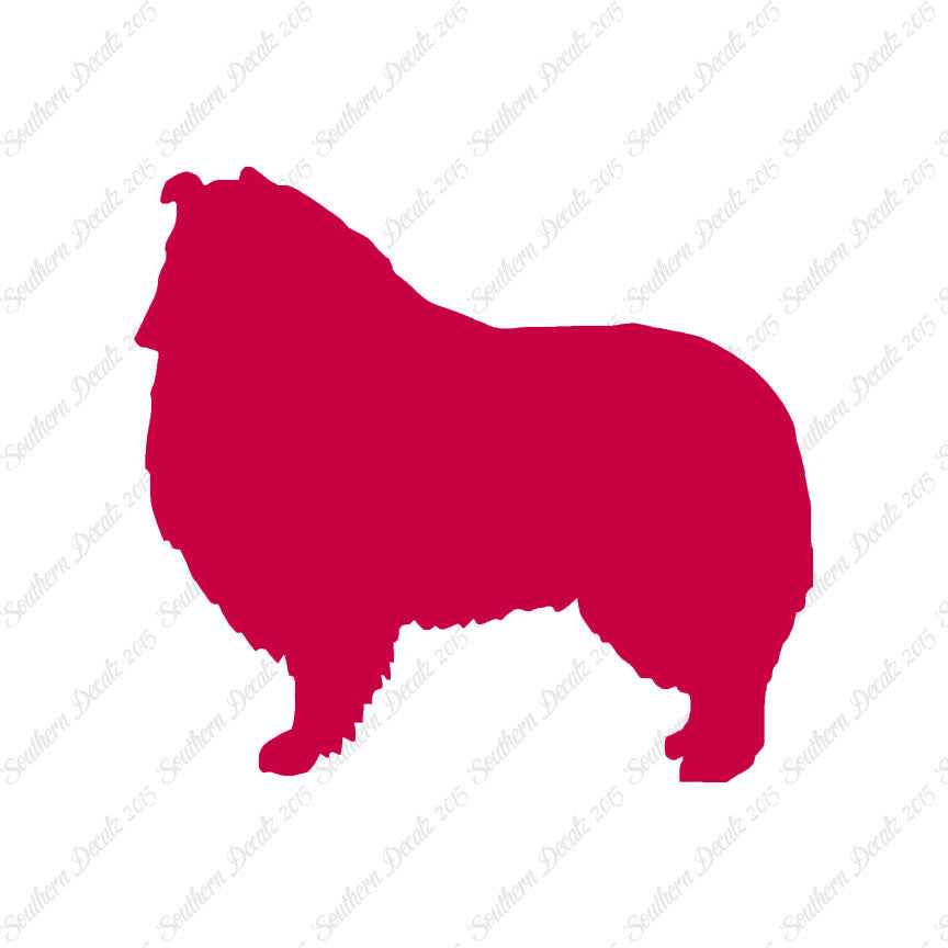 Shetland Sheepdog Collie Dog Breed