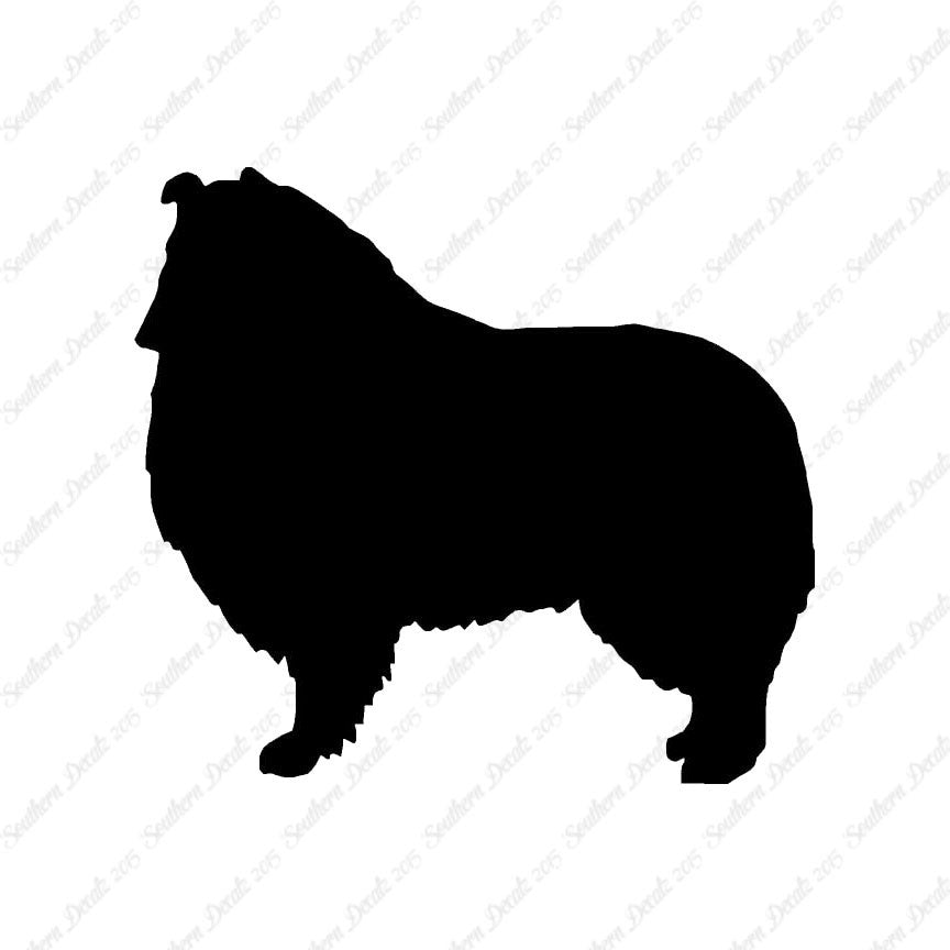 Shetland Sheepdog Collie Dog Breed