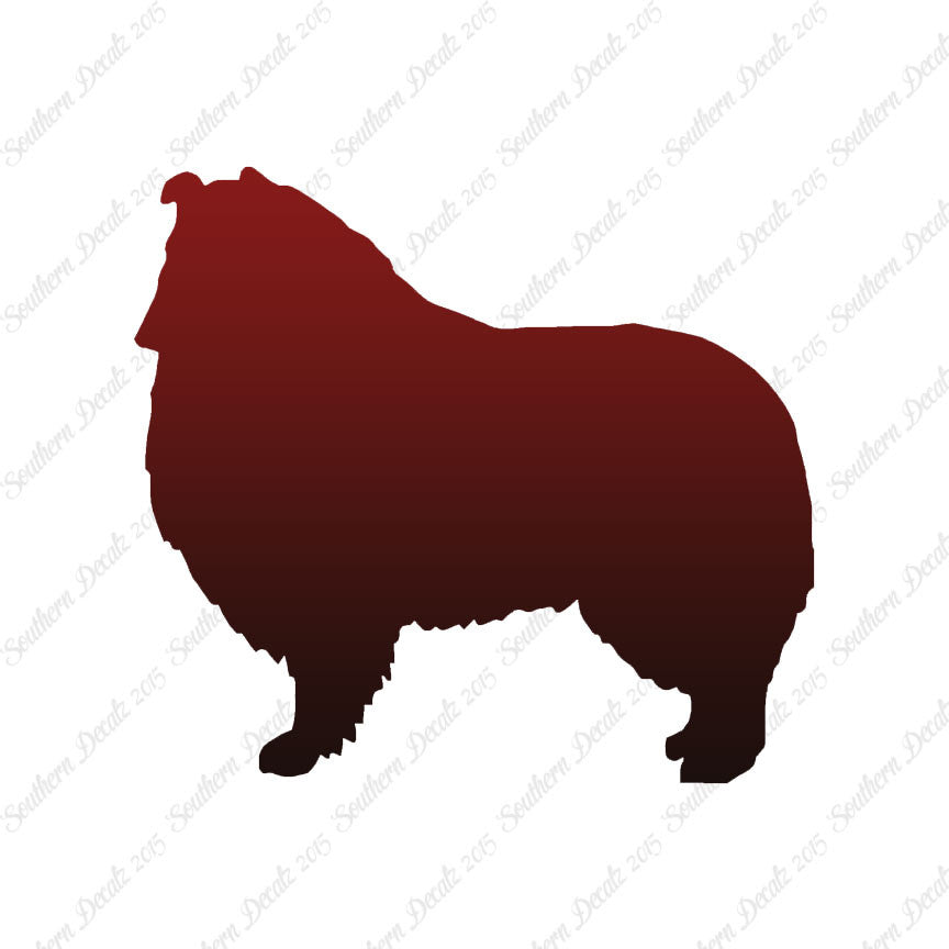 Shetland Sheepdog Collie Dog Breed