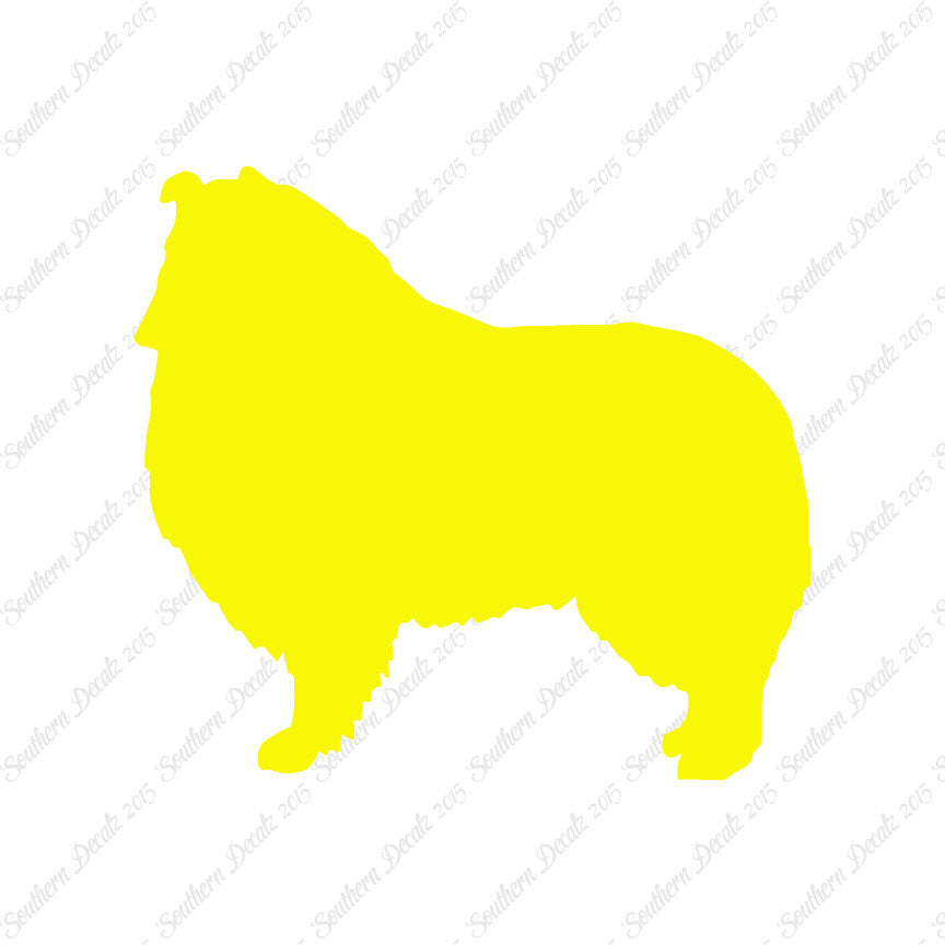 Shetland Sheepdog Collie Dog Breed