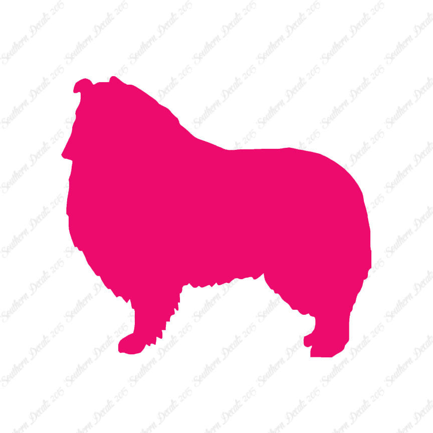 Shetland Sheepdog Collie Dog Breed