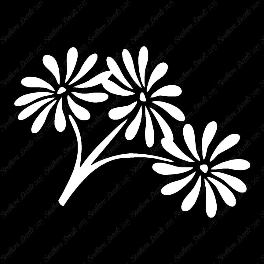 Daisy Bouquet Flowers