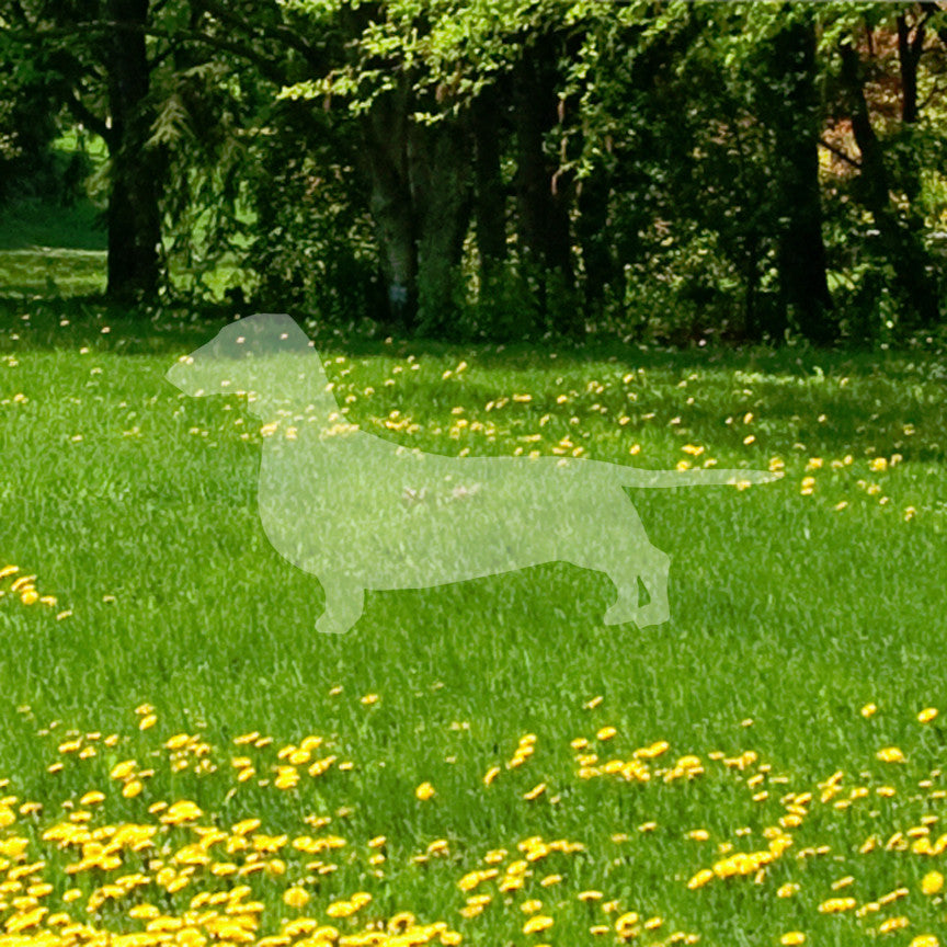 Dachshund Dog Breed Silhouette