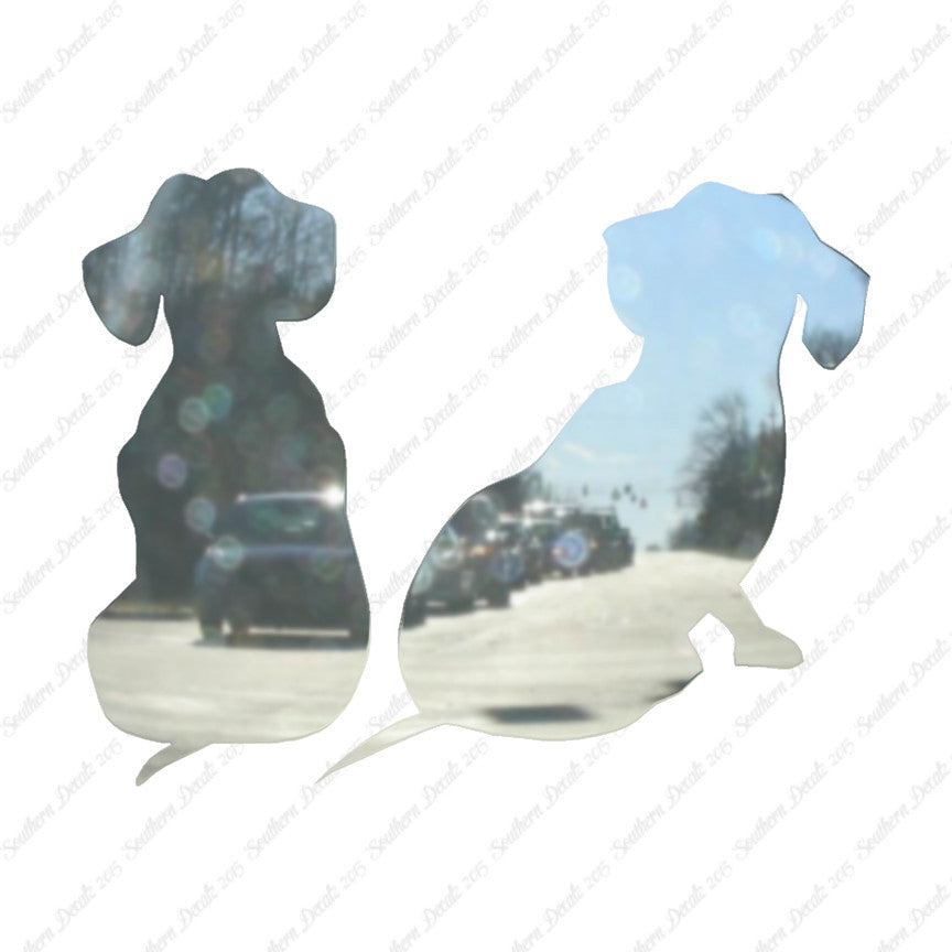 Dachshund Puppies Dog Breed
