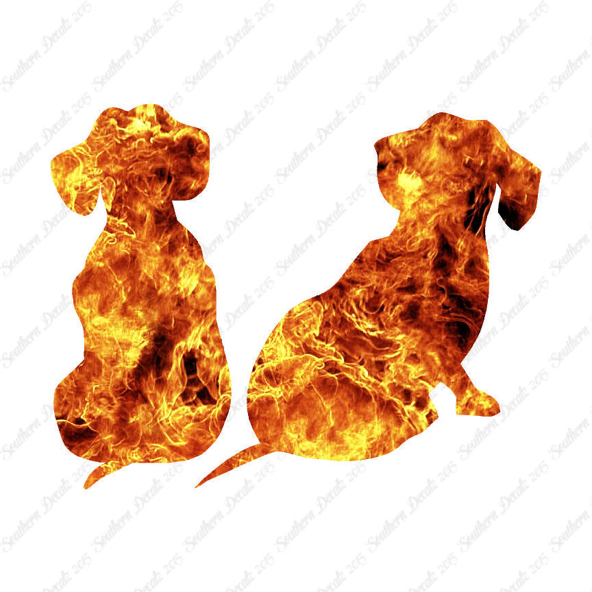 Dachshund Puppies Dog Breed