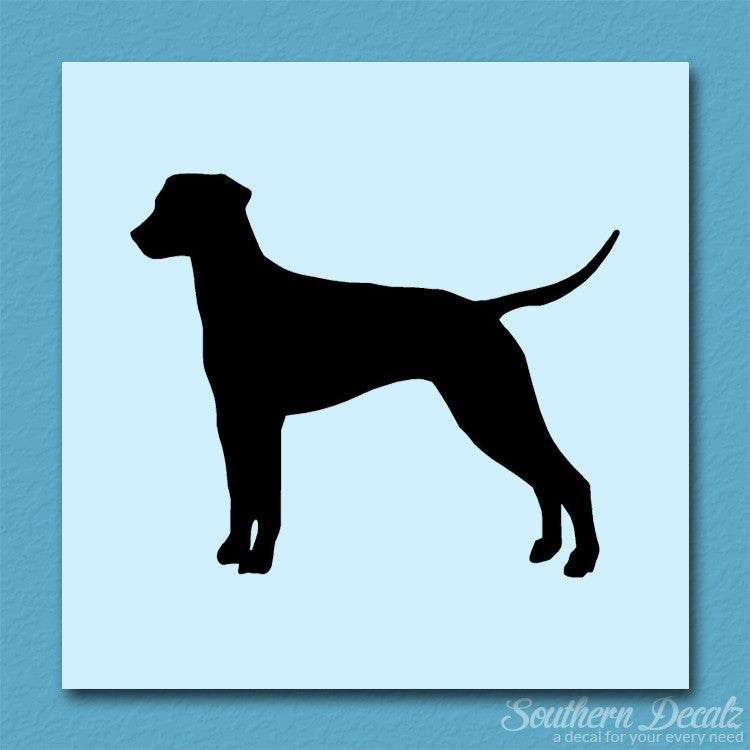 Dalmatian Dog Breed