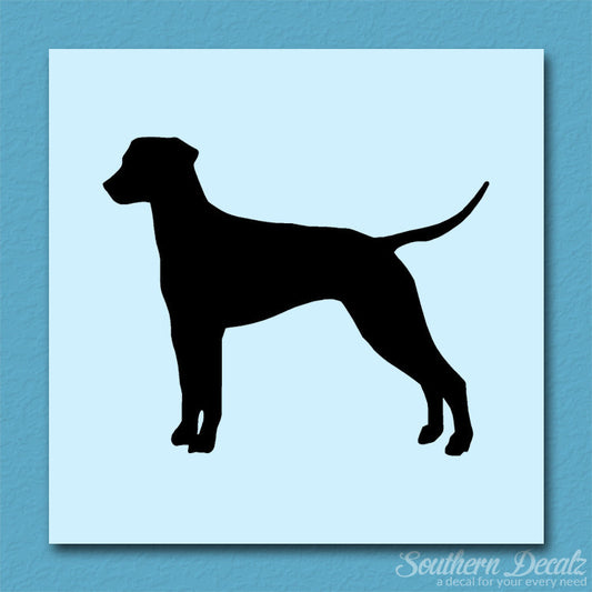 Dalmatian Dog Breed