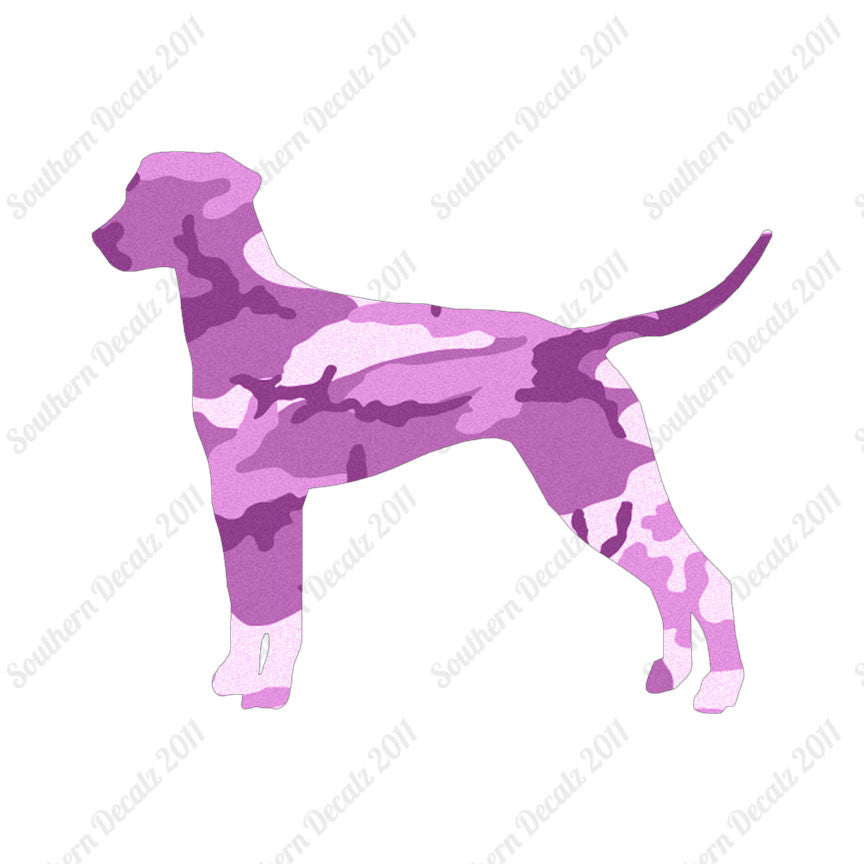 Dalmatian Dog Breed