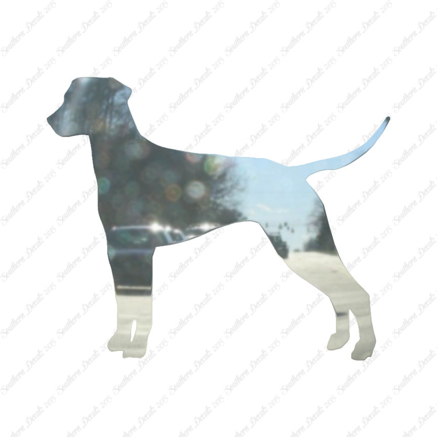 Dalmatian Dog Breed