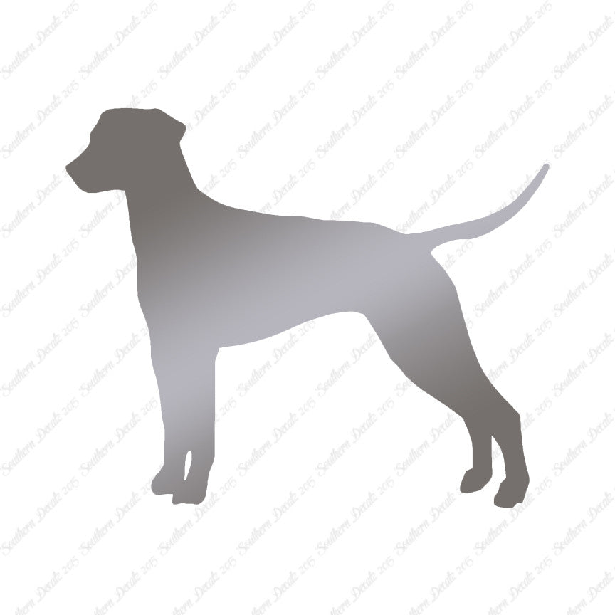 Dalmatian Dog Breed