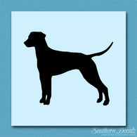 Dalmatian Dog Breed