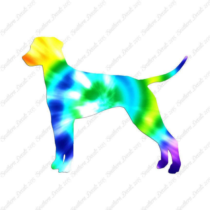 Dalmatian Dog Breed