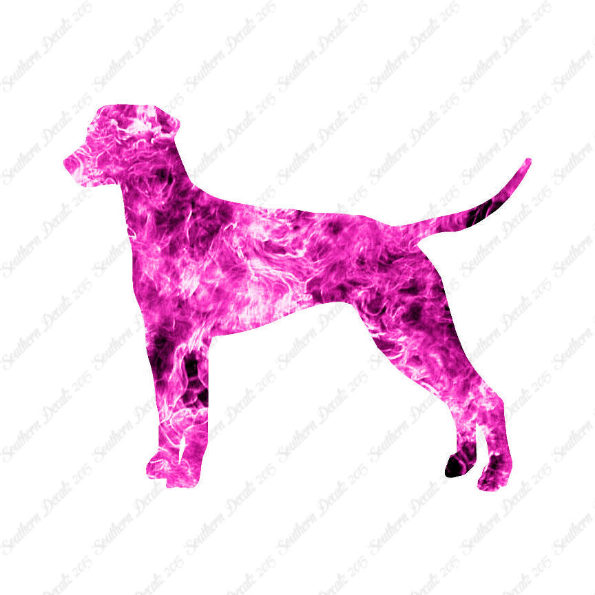 Dalmatian Dog Breed