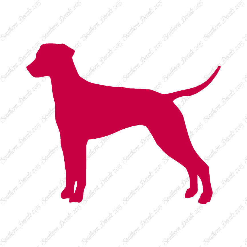 Dalmatian Dog Breed