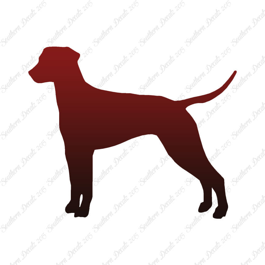 Dalmatian Dog Breed