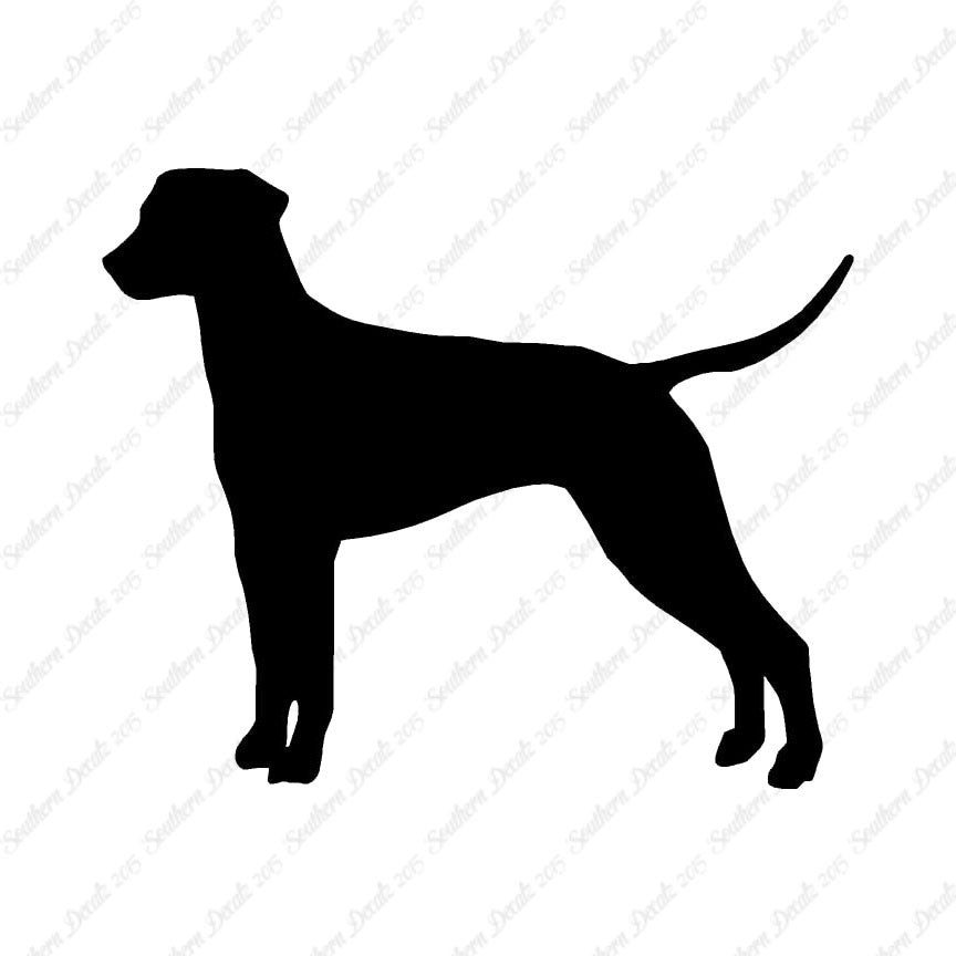 Dalmatian Dog Breed