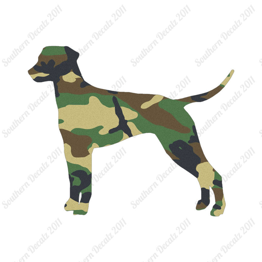 Dalmatian Dog Breed
